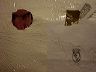 06-004